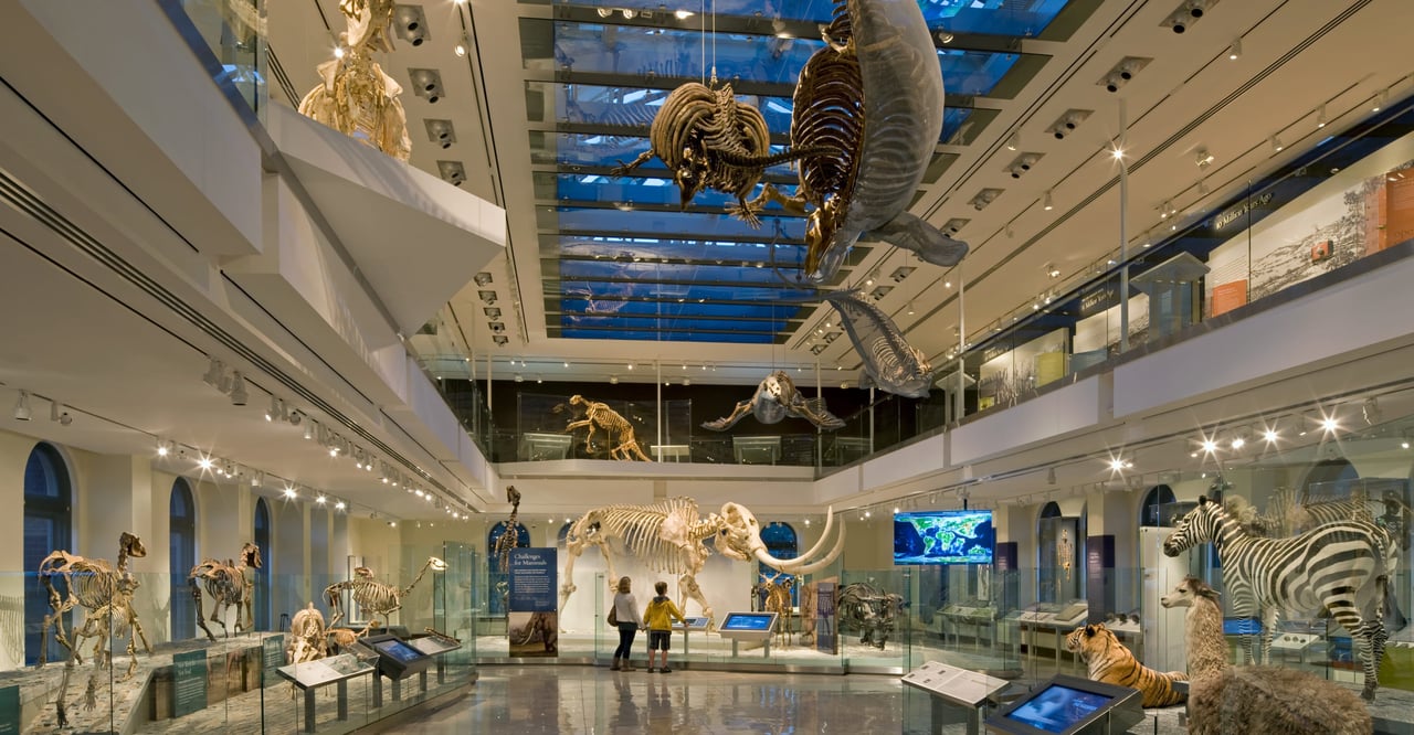 Five Indoor Activities to Beat the Heat