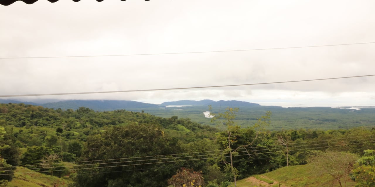 Rainforest Conservation Pasture Land, Osa, Puntarenas