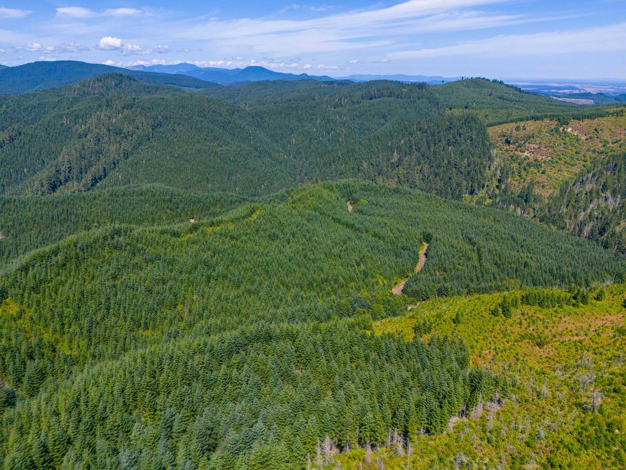 High Pass Tree Farm