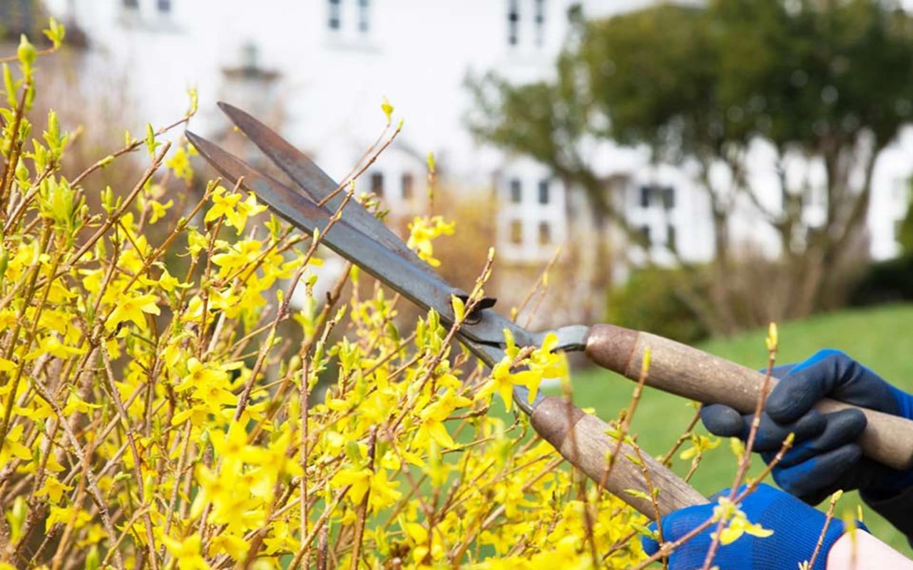 How To Maintain Your Home and Preserve it Value