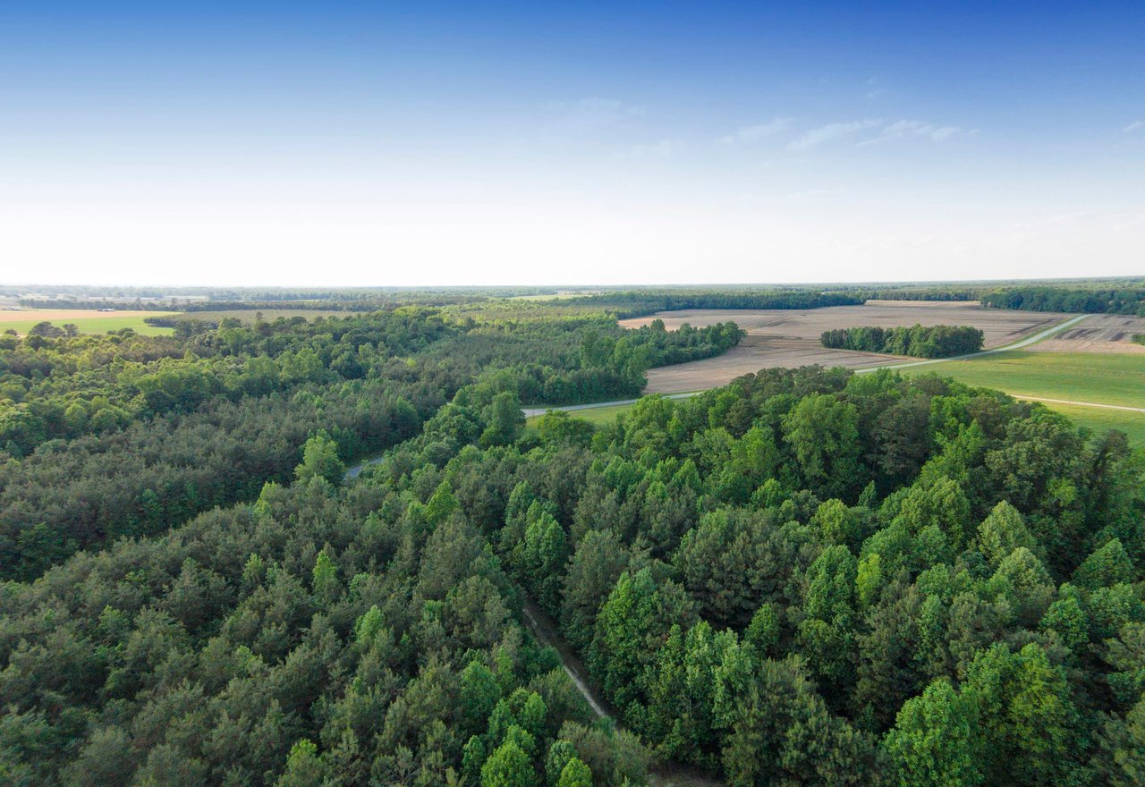 Edgecombe County, NC Land For Sale - 354 Acres