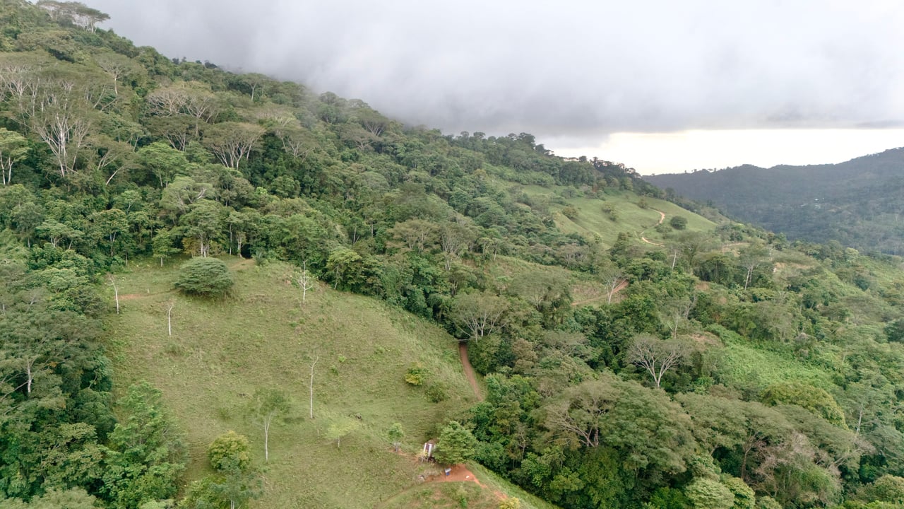 Over 123 Acres Farm in San Josecito De Morete, in Uvita Mountains