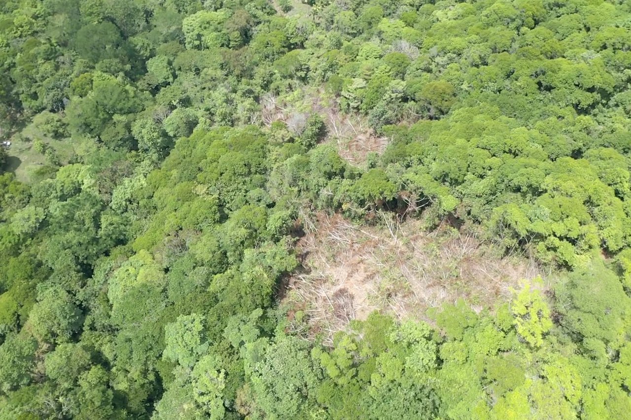 42 Acres With Waterfalls, Ocean Views & Multiple Building Sites Sliencio Ariba