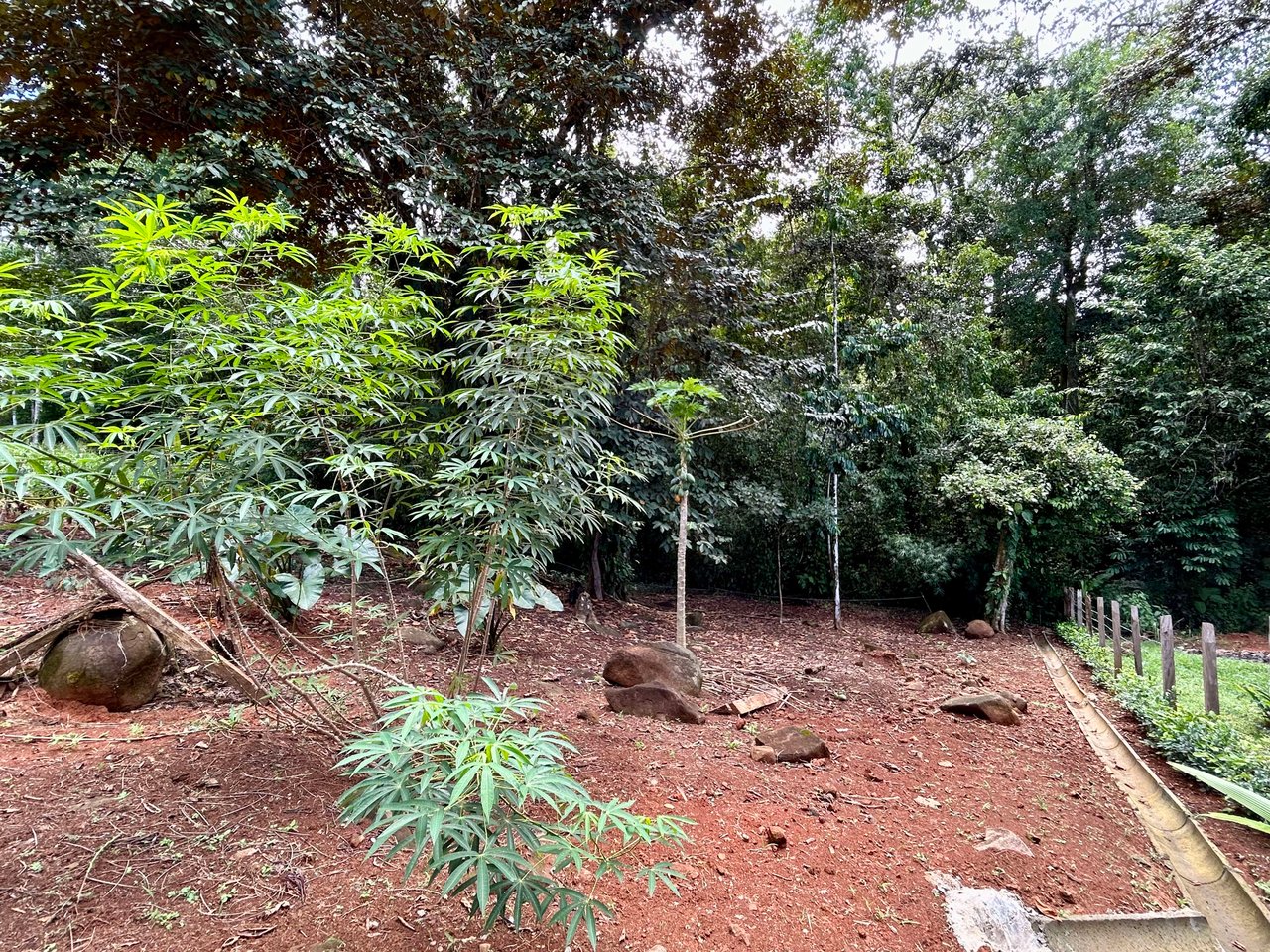 Jungle Side Lots in Uvita, Walking Distance to Amenities