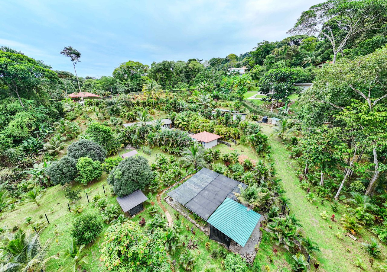 Welcome to your dream property in the heart of Cinco Ventanas, Costa Rica.