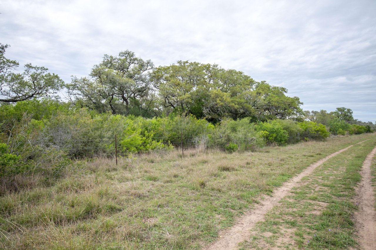 Weesatche 110 Acres