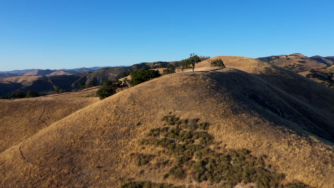 Rancho La Laguna