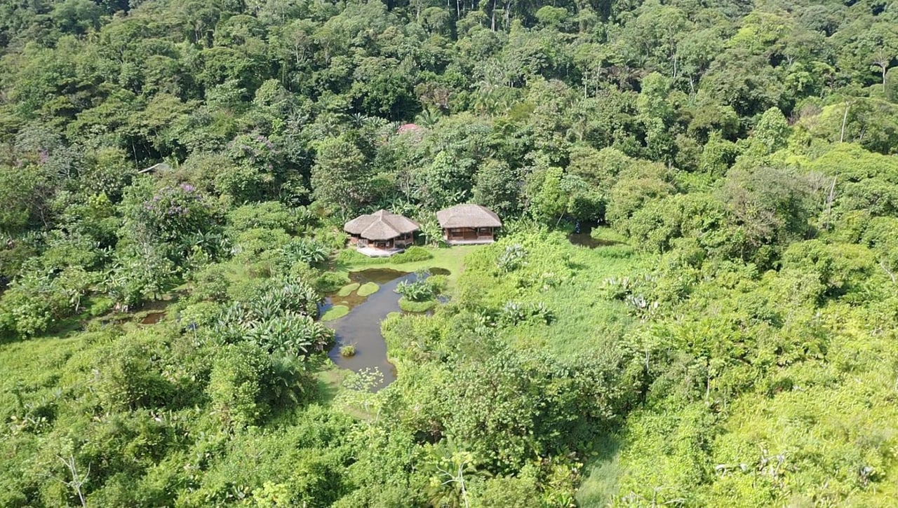 Sustainable Conservation Retreat, Osa, Puntarenas