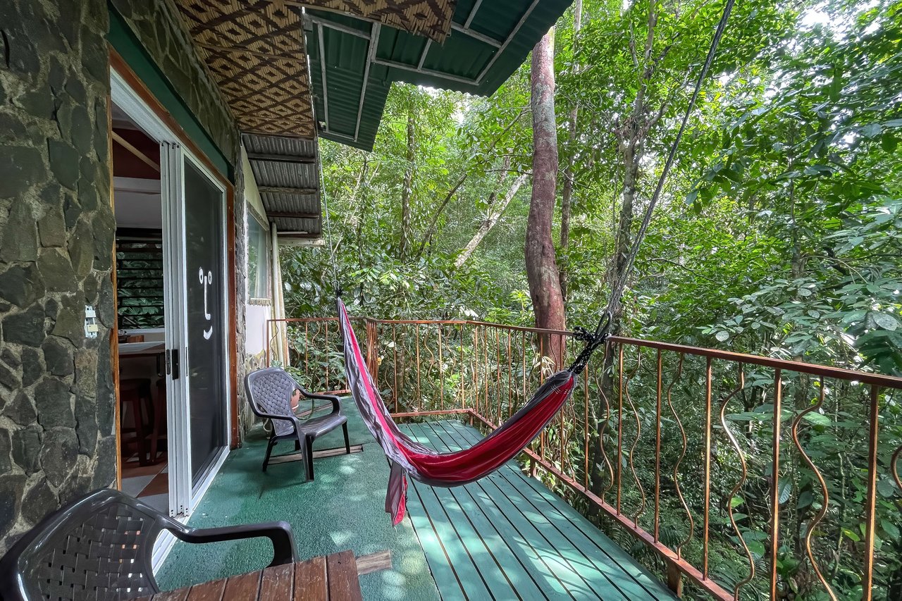 Jungle Retreat with 4 Turn-Key Vacation Rentals for Sale in Quepos