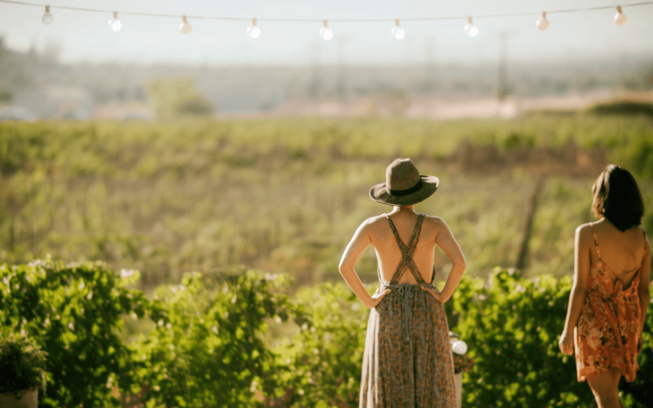 Two women overlooking a vineyard.