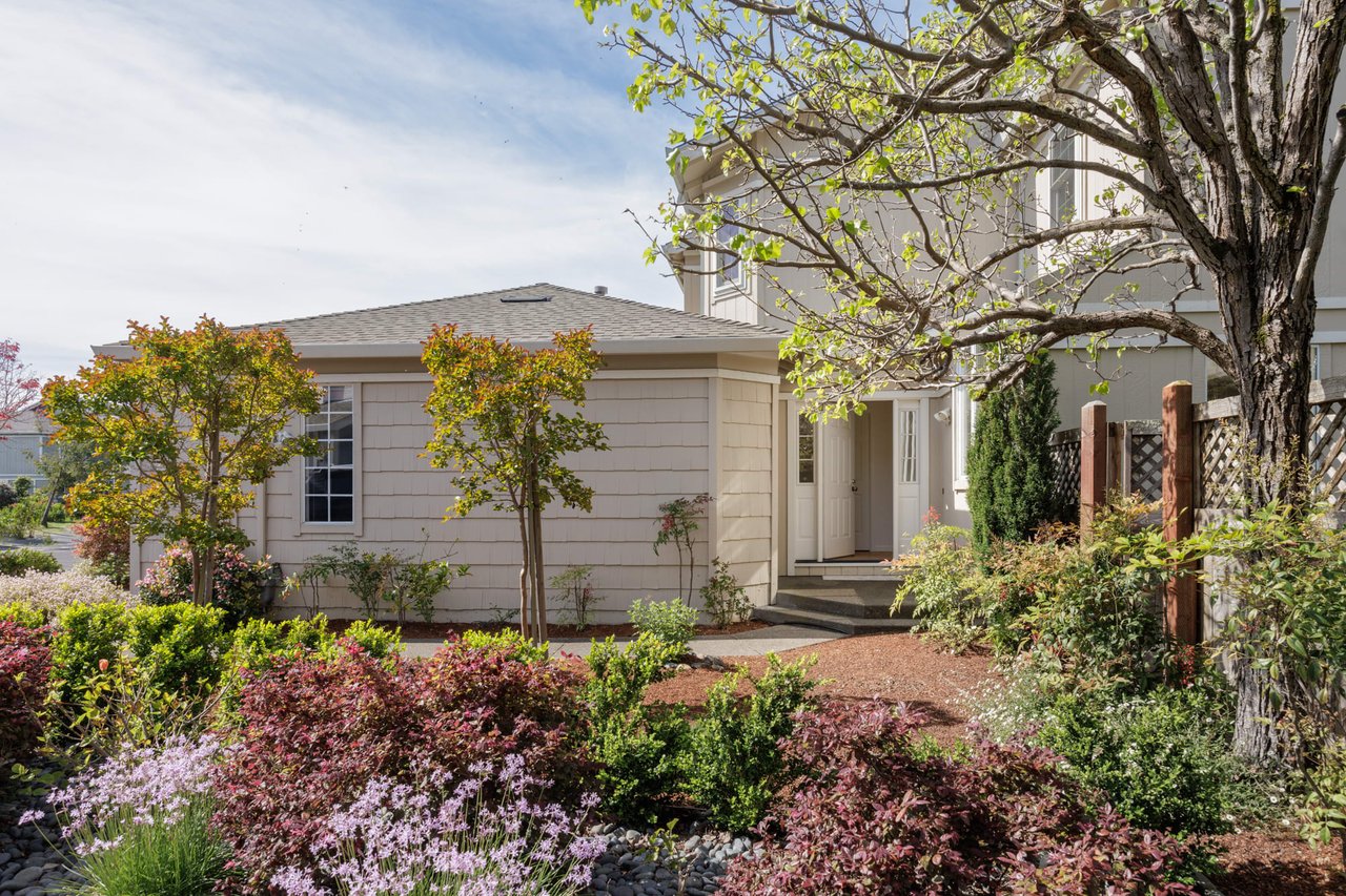 Vacation at Home on the Marin Bayshore