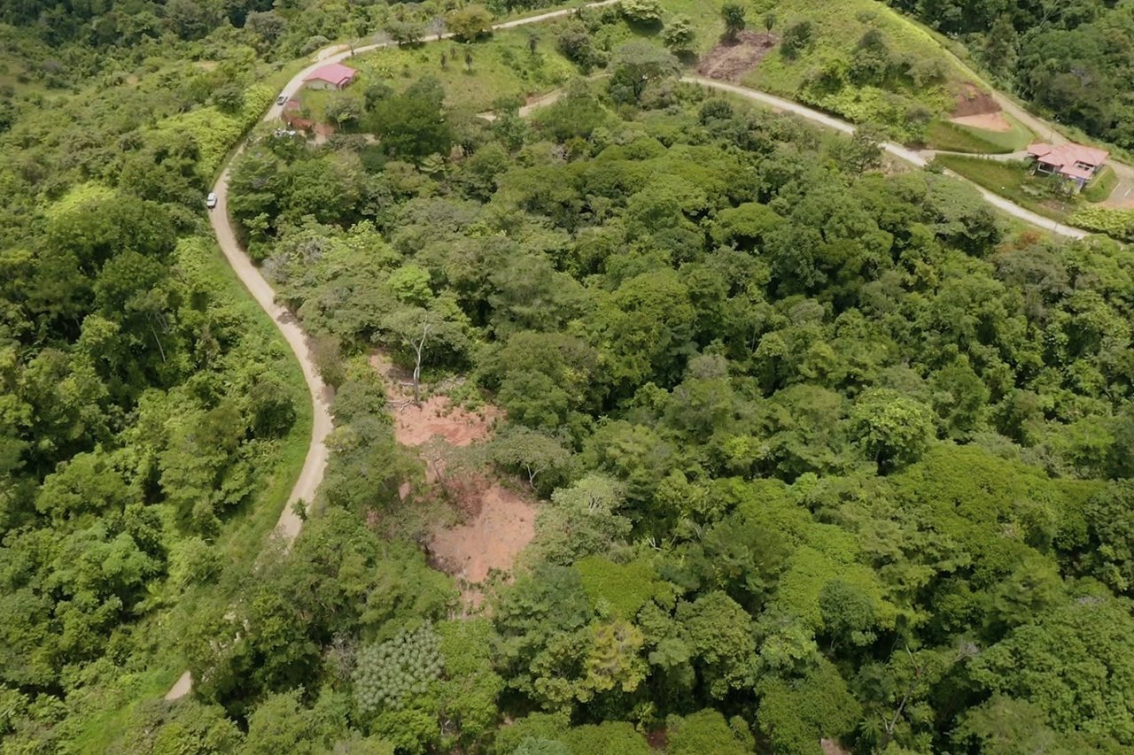 Wildlife Reserve Farm close to Ojochal