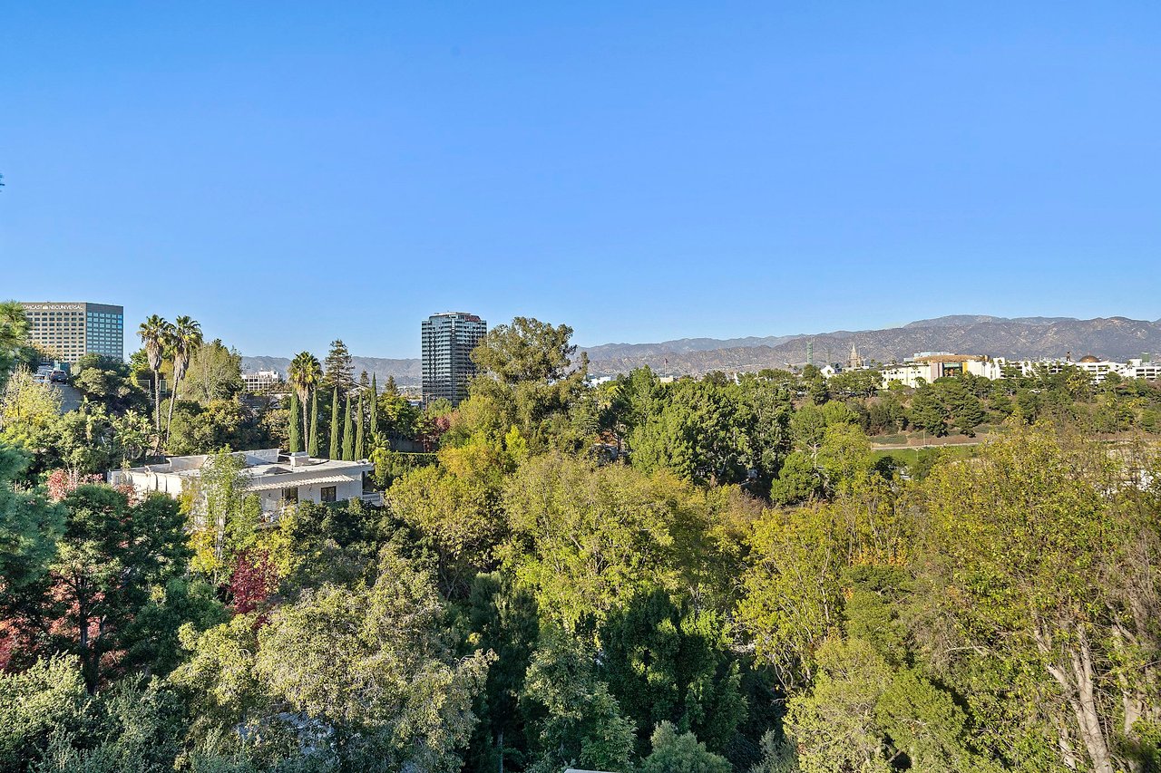 Hollywood Hills Skyline Estate 