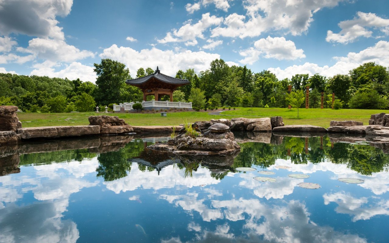 Stone lined pond in the forefront with a Japanese gazebo in a green field backed by green trees