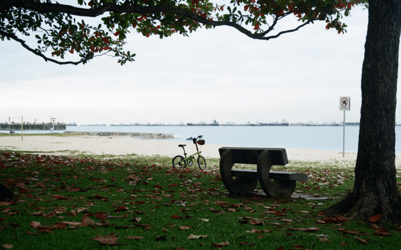 A Guide to Miami Beach, FL Parks