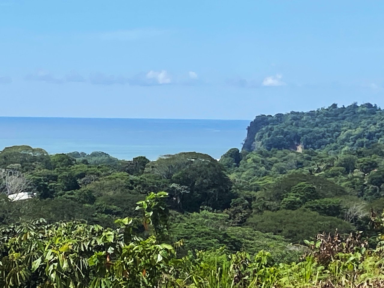 3.41 Acres, Ocean View Property In Finca Maranon With Legal Water! Ojochal 