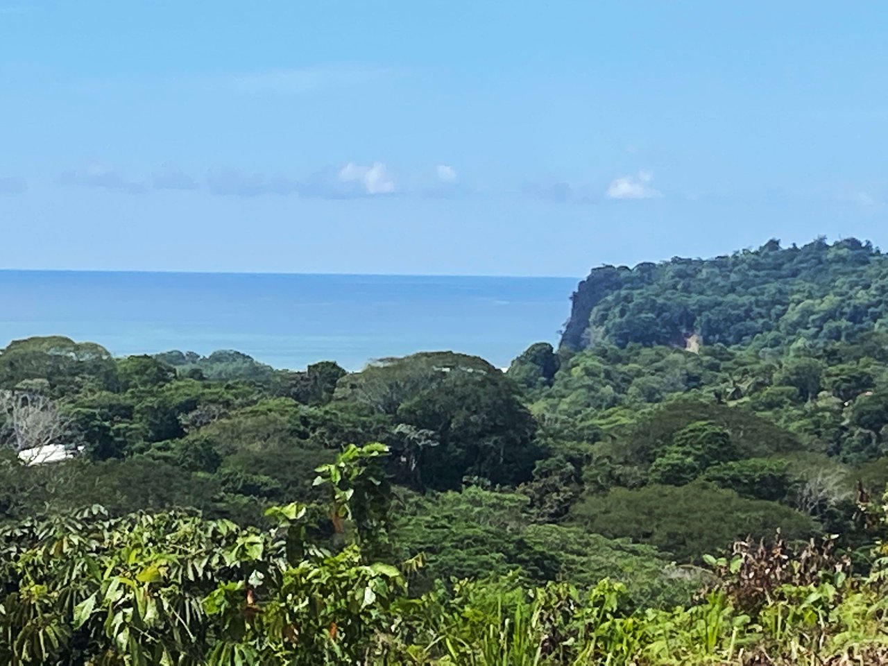 3.98 Acres, Ocean View Property In Finca Maranon With Legal Water! Ojochal 