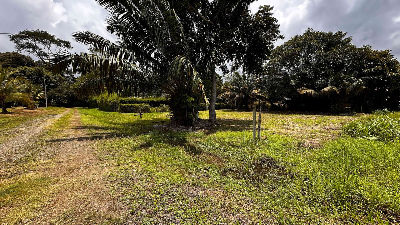 Beach Area Lot in Quiet Corner on Uvita Bahia