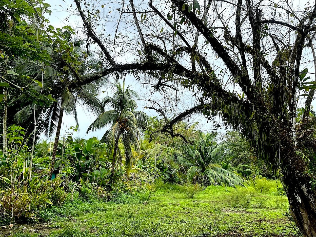 Titled Land Steps from the Beach, Uvita, Puntarenas