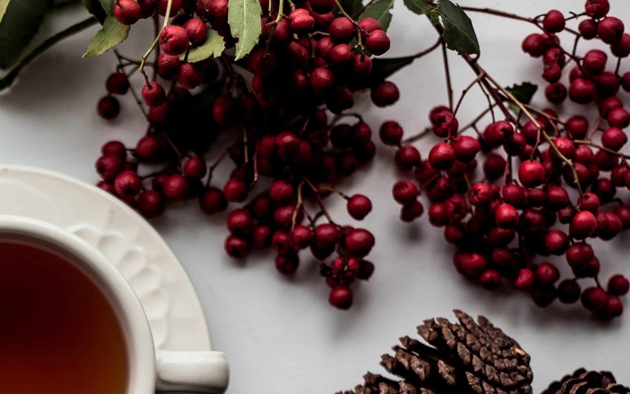 6 Ways How To Make Your Home Smell Welcoming This Holiday Season