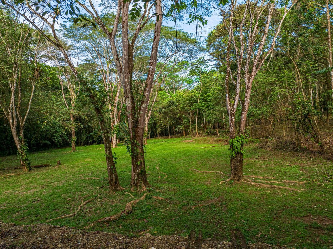 Private Ocean View Development Lot, Dominical, Puntarenas