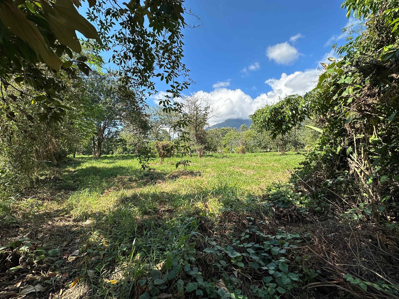 Over 3 Acres, Mountain View Lot in the Heart of Ojochal, Ready for Development!.