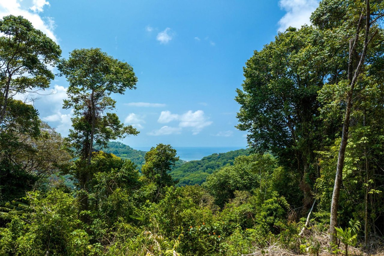 Private Ocean View Development Lot, Dominical, Puntarenas