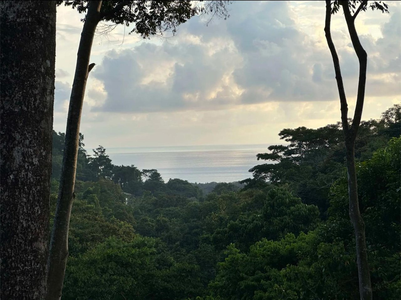 Ocean View Gated Development Lot, Dominical, Puntarenas