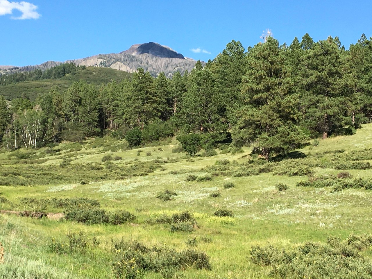 Southern Colorado Riverfront Mountain Ranch