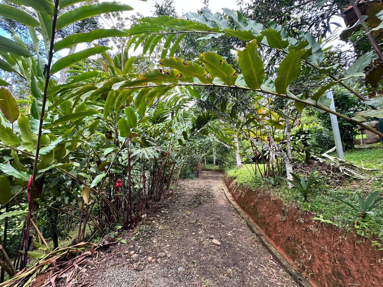 Waterfall Eco Hotel Estate, Perez Zeledon, San Jose