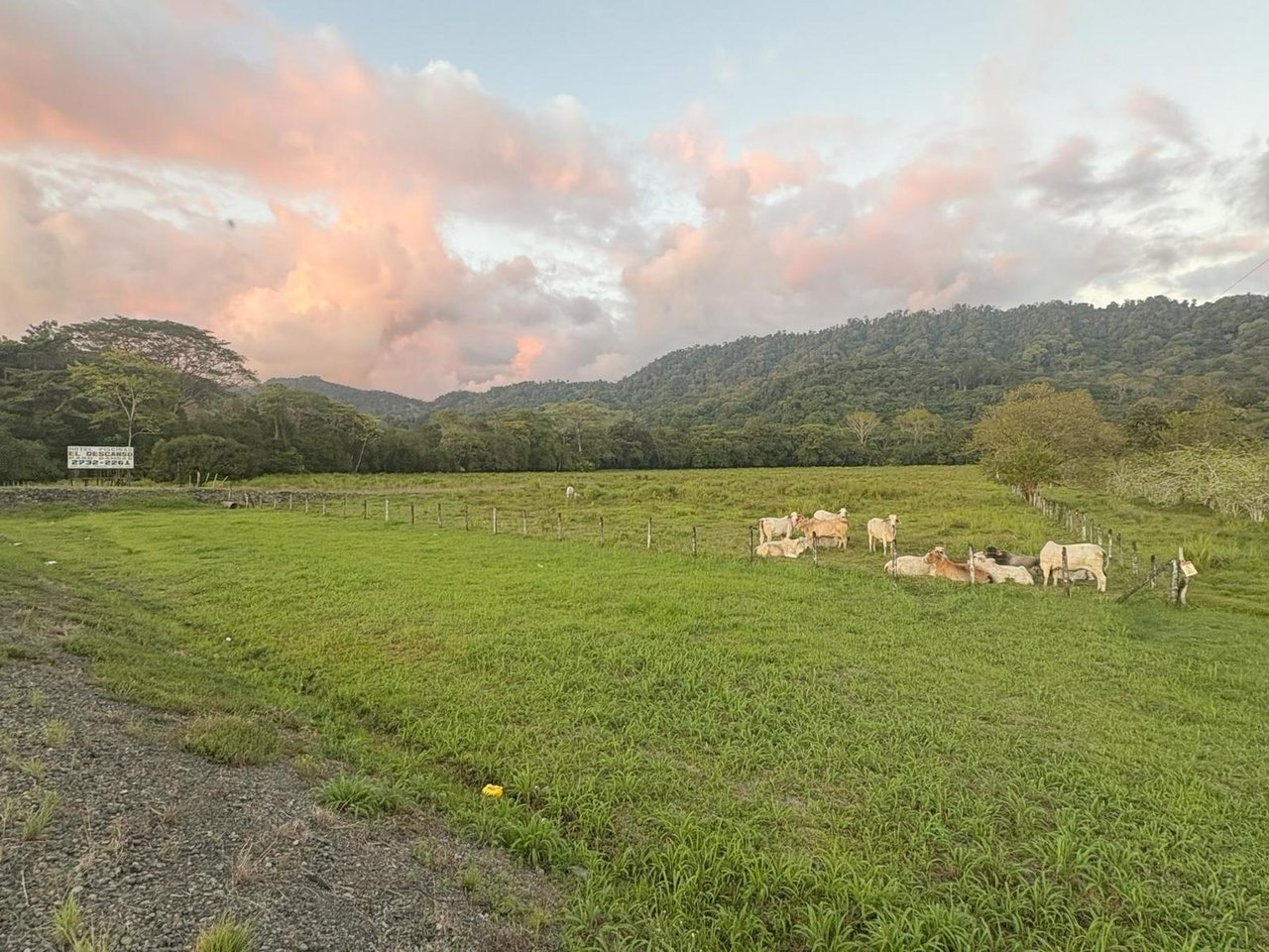 Highway Frontage Commercial Land, Manuel Antonio, Puntarenas