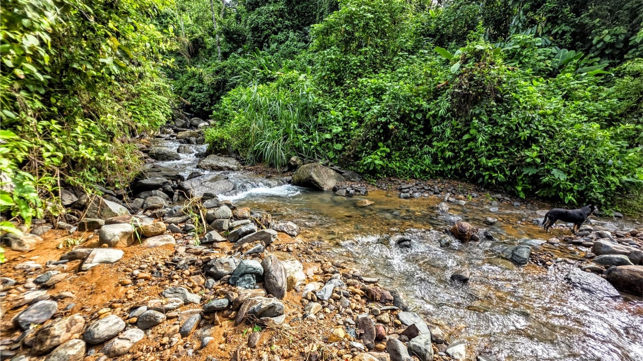 Rainforest Waterfall Acreage Estate, Dominical, Puntarenas