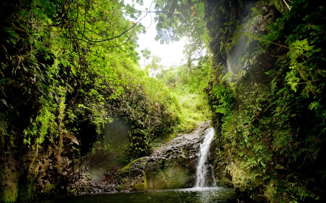 Maunawili
