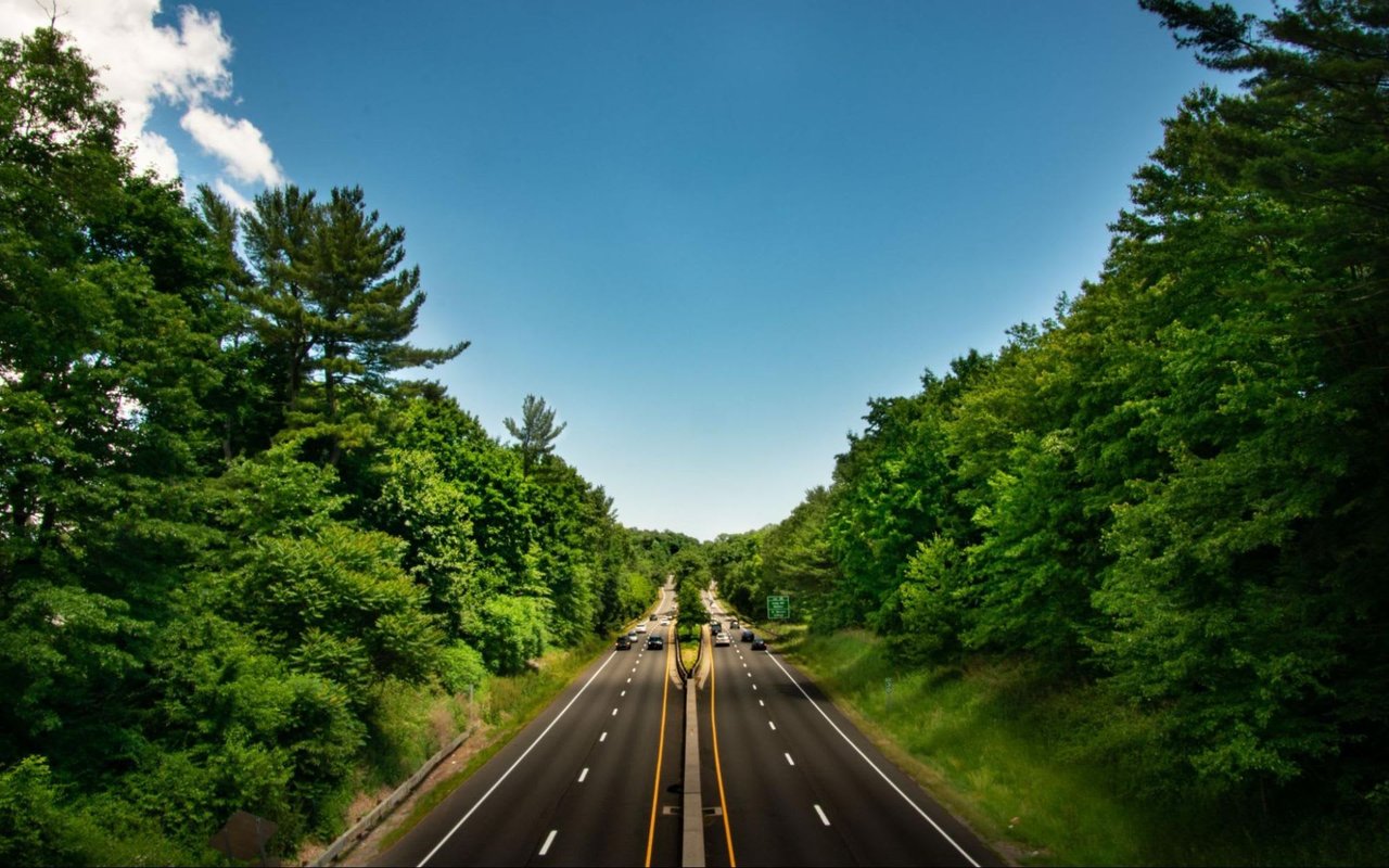 How to Make the Most of Your First Year in Greenwich