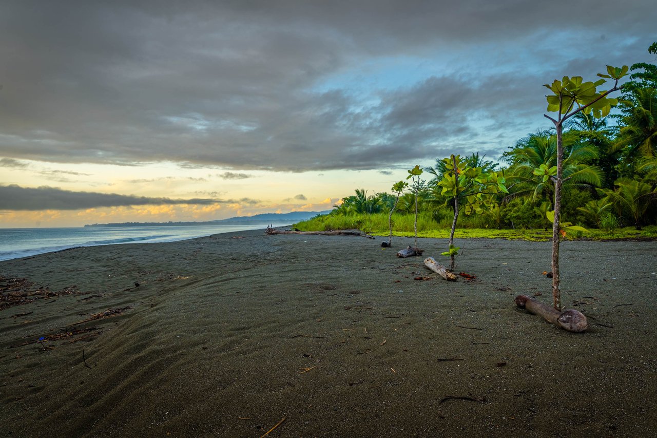Off Grid Beachfront Bamboo Estate, Osa, Puntarenas