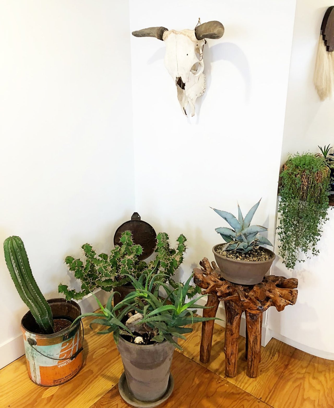 Room Refresh – Desert Chic