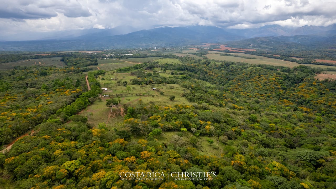 Finca Buenos Aires