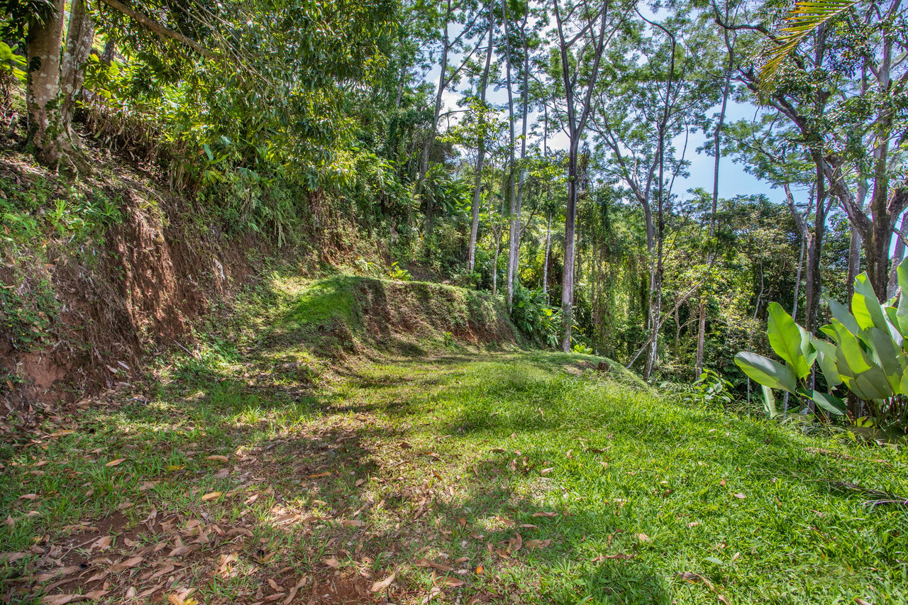 Rainforest Ridge Ocean View Ranch, Manuel Antonio, Puntarenas