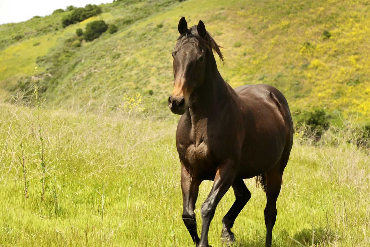 La Hoya Creek Ranch