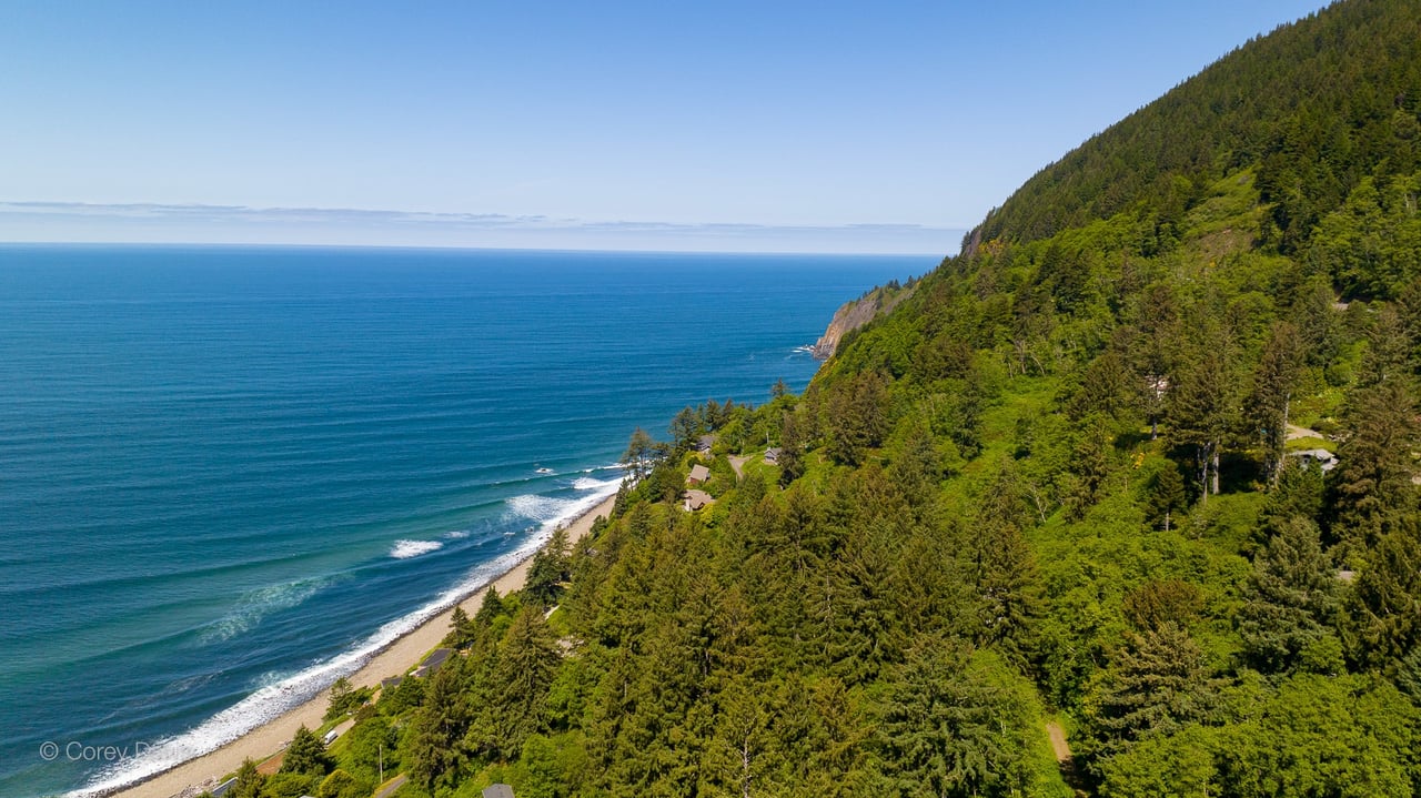 deep green fir trees on neahkahnie mountain meet the dark blue pacific