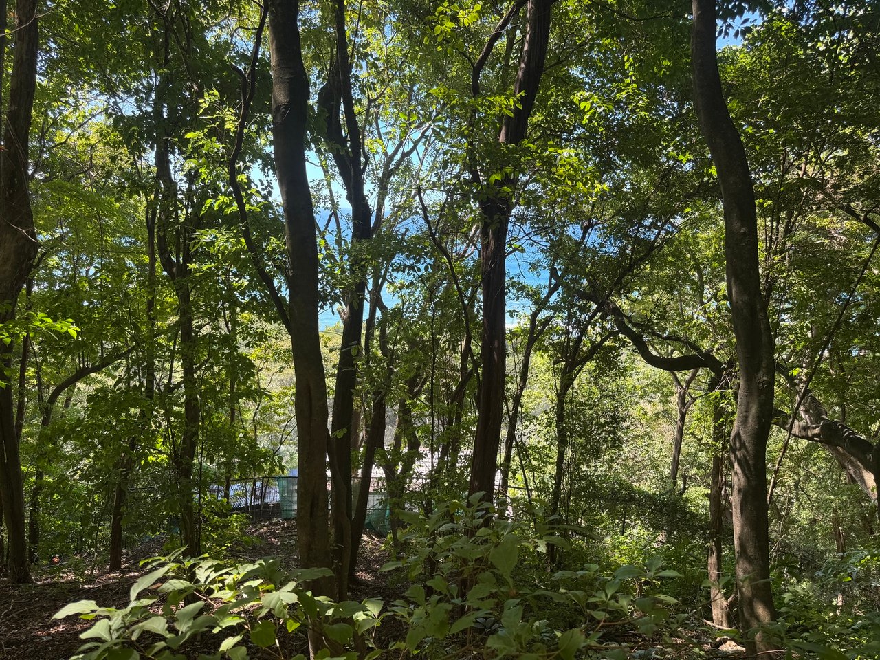 Commercial Ocean View Lot, Santa Teresa, Puntarenas