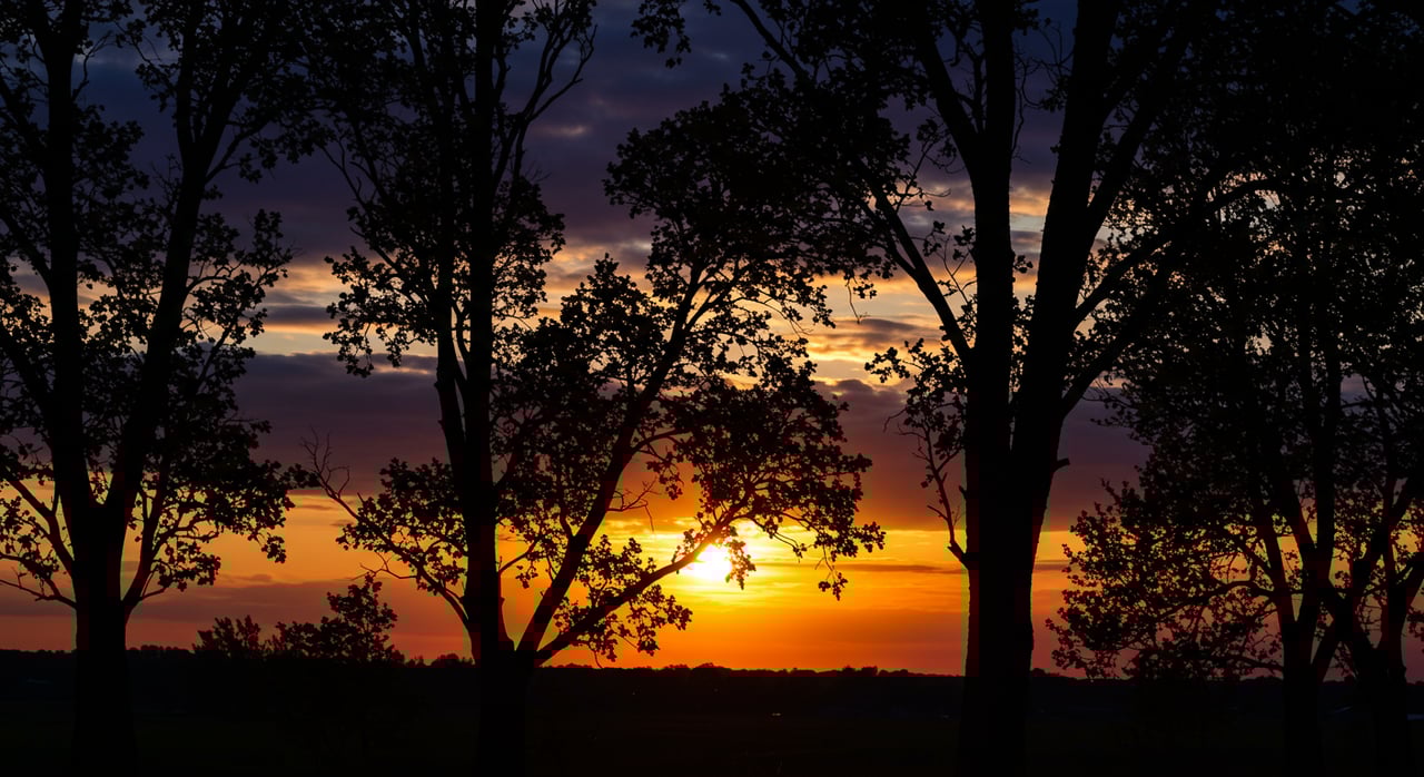 Navigating Environmental Risks in North Scottsdale Homes