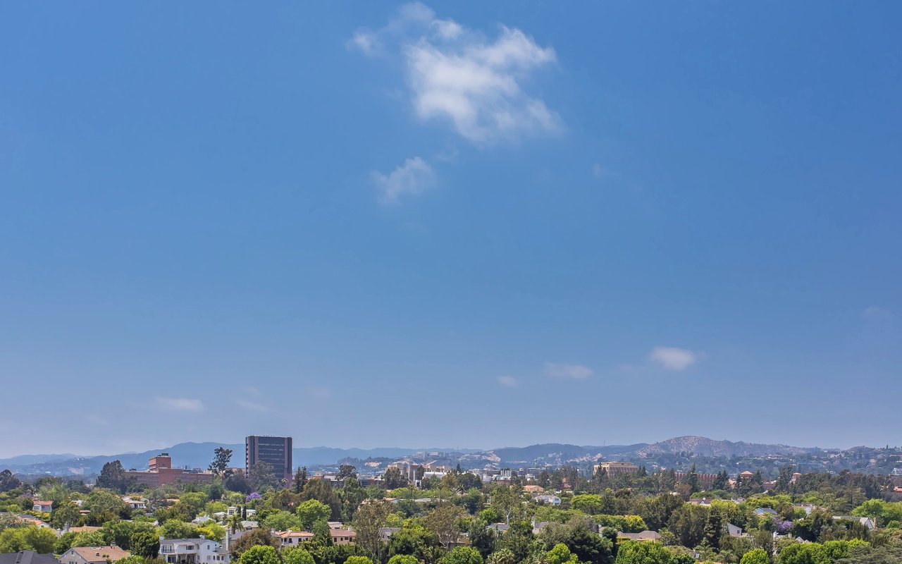 10450 Wilshire #11J
