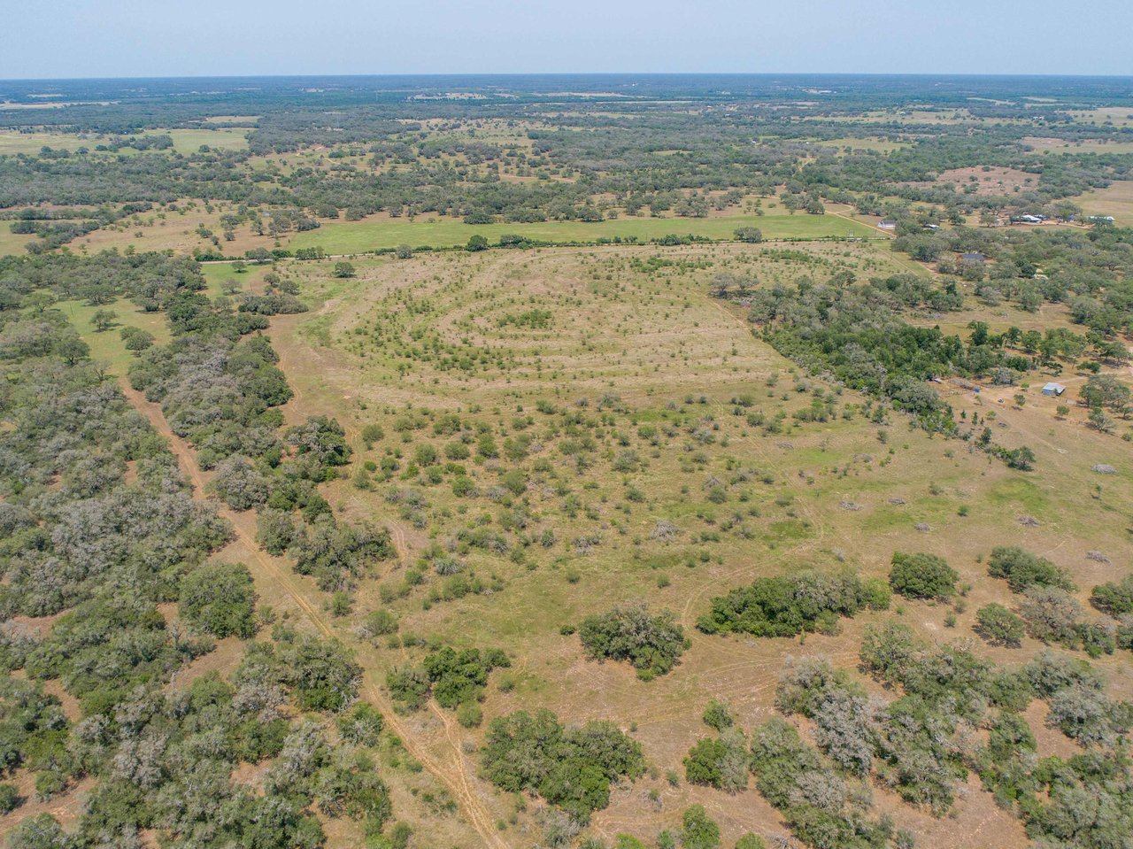 Green DeWitt Rd | 40.82 Acres | DeWitt County