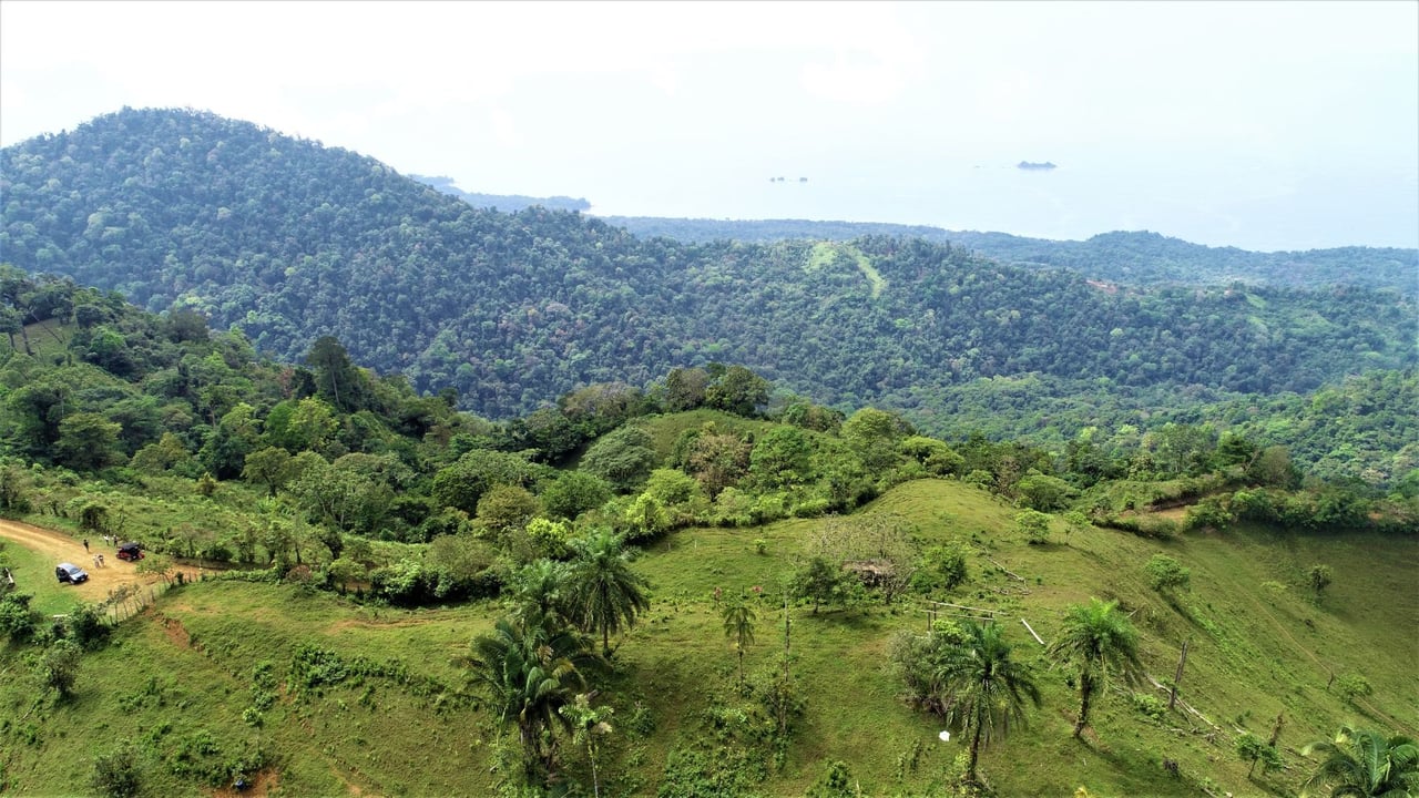 Ocean View Development Farms, Uvita, Puntarenas