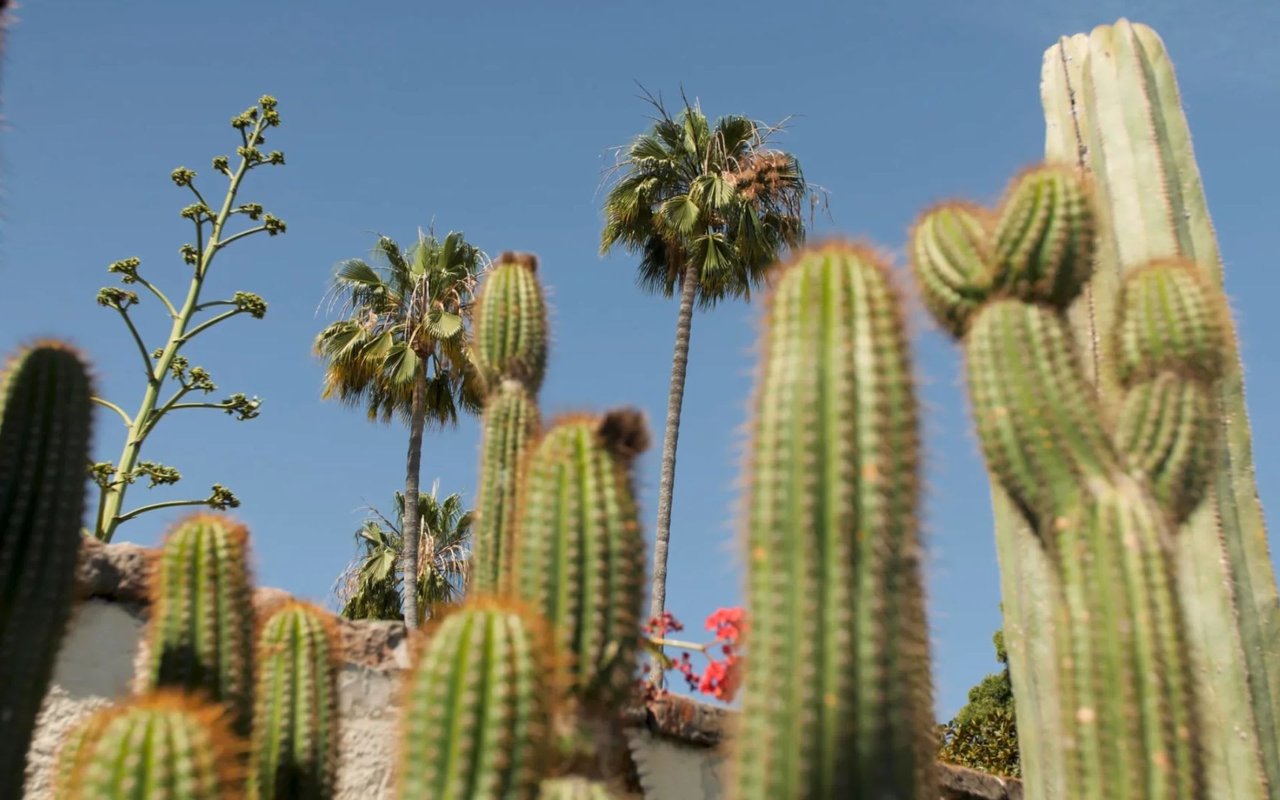 PAST & PRESENT AT MISSION SAN JUAN