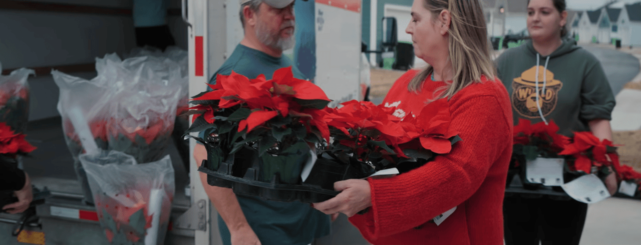 Alli Pepperling’s Annual Poinsettia Event