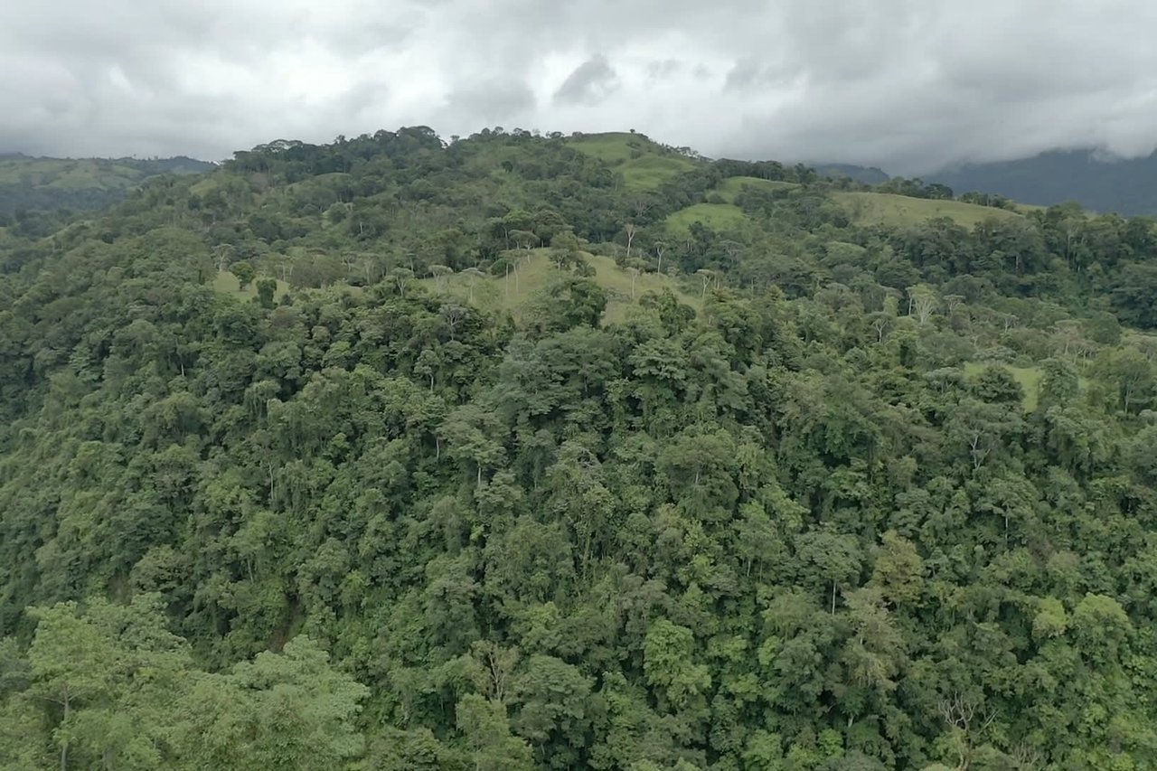 84 ACRES RIO MORENOS VIEWS OF THE PACIFIC 