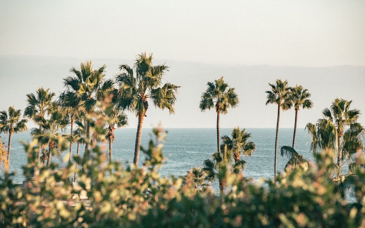 Will Home Prices Fall This Year? Here’s What Experts Say.