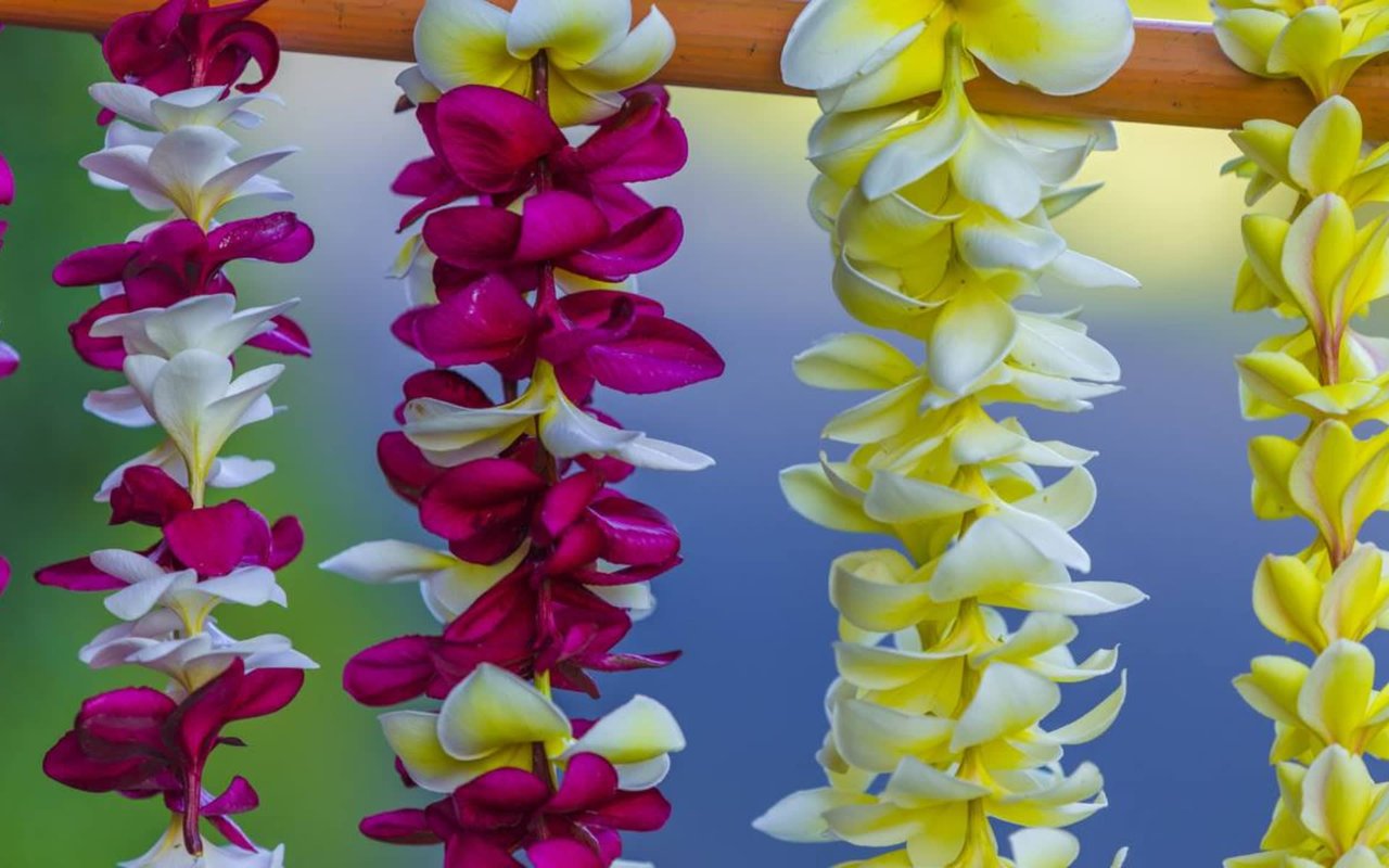 May Day is Lei Day in Hawai`i